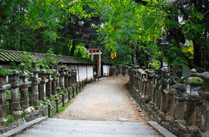 Customised and group tours